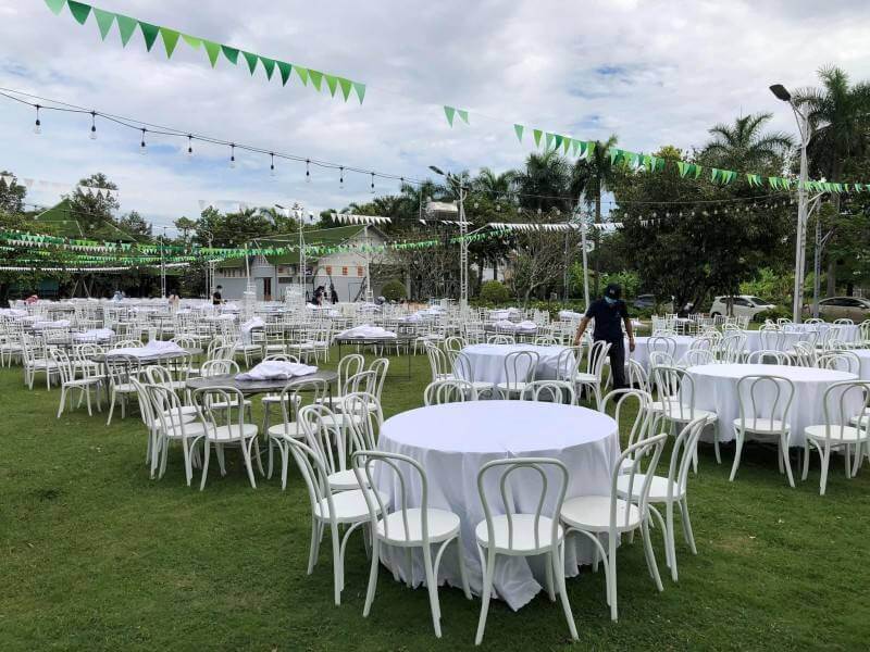 wholesale White Bentwood Chairs for outdoor events
