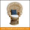 wholesale fabric peacock chair cushion for king and queen